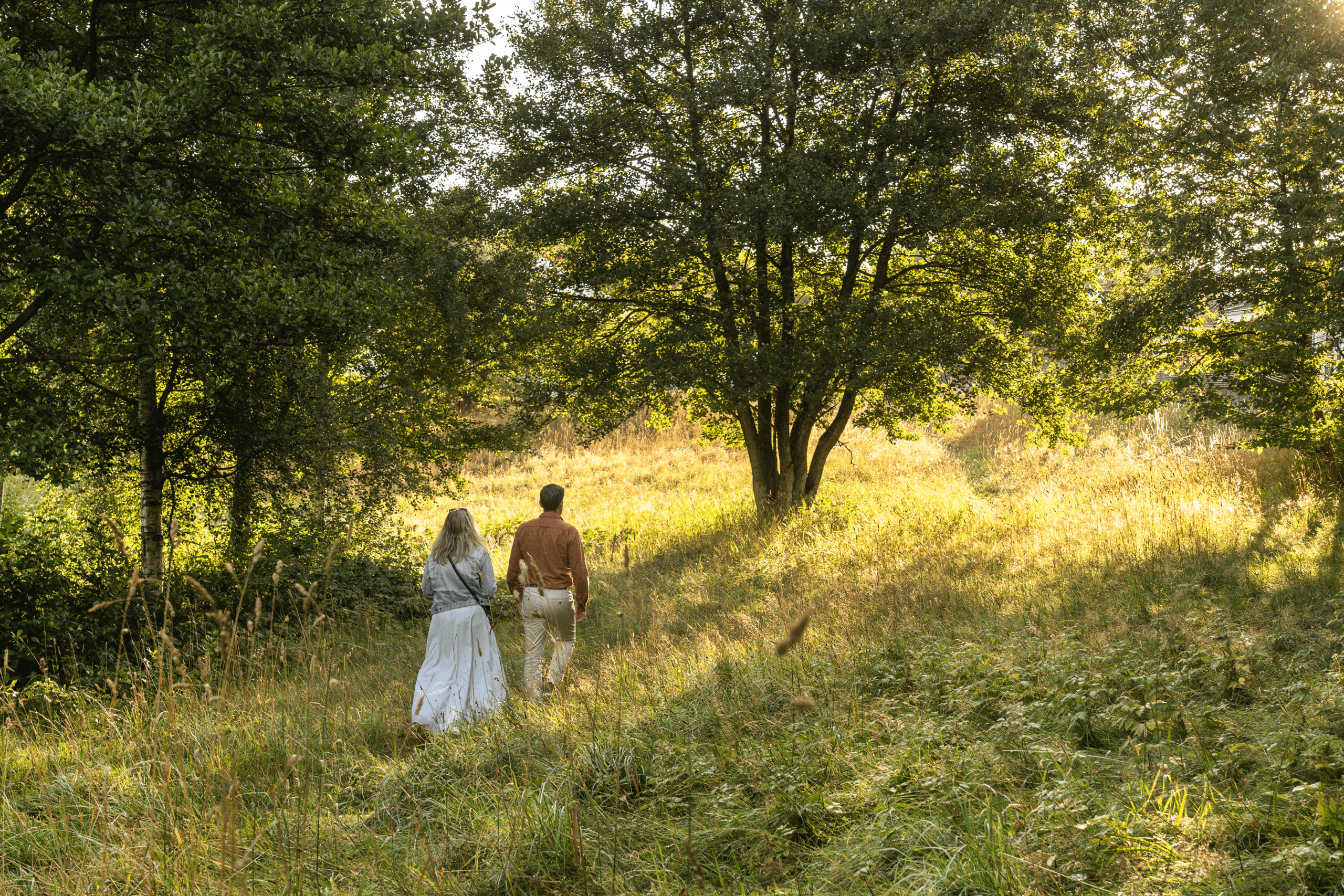 Promenad vid Trönningemossen